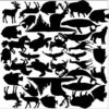 Hidden Images Animals Overlay