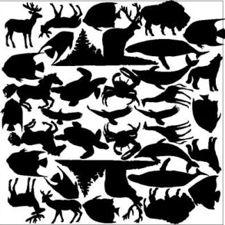 Hidden Images Animals Overlay