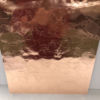 Hidden Images Wild Animals-Precut Foil Overlay Sheet - Image 2