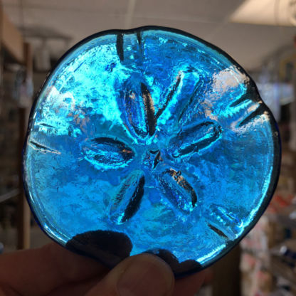 3-D Sand Dollar Turquoise Irridized - Image 2