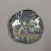3-D Sand Dollar Clear Irridized
