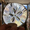 3-D Sand Dollar Clear Irridized - Image 2