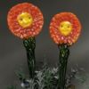 LF203 Zany Zinnias Mold - Image 3