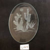 CF1014 -Engraved 4" x 6" Oval Bevel Cactus