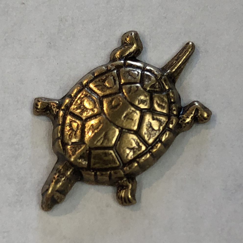 Ant. Brass 3-D Turtle – FW330X | Glass House Store