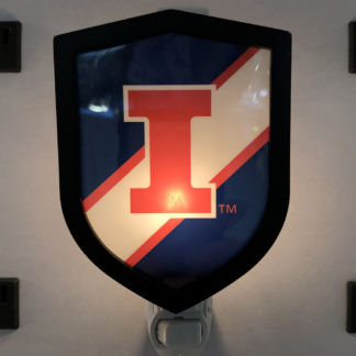 University Of Illinois