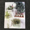 Decorating With Stone Book - Image 2