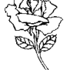 Peel N' Etch Stencil- Stemmed Rose #1308 - Image 2