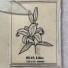 Lilies Clear/Glue Chip Beveled Glass Cluster-RS15