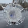 3-D Handblown Glass Sand Dollar #LS103
