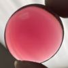 Smooth 35mm Round Jewel FB35-340 Cranberry Pink