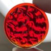 Textured 35mm Jewel JB35-10 Red