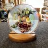 Painted Medallion Bowl Of Cherries with Bird -PM012