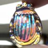 Dichroic Scarab Bug SC3619-06 Amy - Image 4