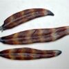 LF228 Large Feather Trio Mold - Image 2