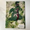 Of Dragon Wings and Faerie Things Book - Image 2