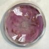 Rondel 3-D Sand Dollar Glass -72104P - Image 3