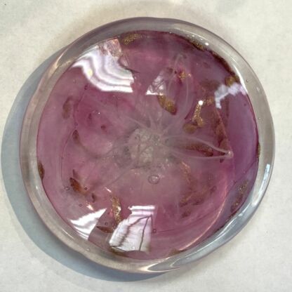 Rondel 3-D Sand Dollar Glass -72104P - Image 3