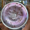 Rondel 3-D Sand Dollar Glass -72104P