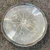 3-D Rondel Sand Dollar Glass -72104W - White - Image 3