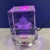 Crystal 3" Lighted Base - Image 3