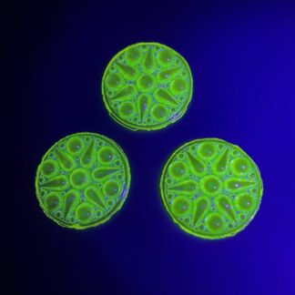 Dichroic Round 42mm Jewel BC42-313 Vaseline Yellow