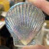 Sea Shell Dichroic Jewel- SHD7060-01