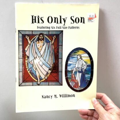 His Only Son Book