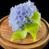 LF 1 - NatureScape Leaf Molds - Image 11