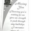 94012CF Missing You Beveled Mirror - Image 4