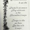 94039CF Madrecita (Spanish) Mother Beveled Mirror - Image 4