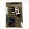 94007CF Owl Beveled Mirror
