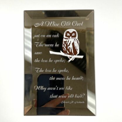 94007CF Owl Beveled Mirror