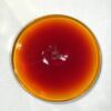 Rondel Blenko Handblown Glass 3 3/4" Orange BL110 - Image 4