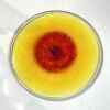 Rondel Kokomo Glass  4 1/8" Yellow KR506 - Image 4
