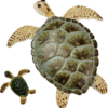 LF258 Two Small Turtles Frit Mold - Image 3