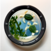 LF258 Two Small Turtles Frit Mold - Image 2