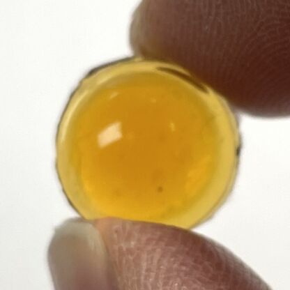 Odyssey Jewel 12mm Round OM12-02 Amber