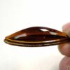 Odyssey Jewel 43mm x 16mm Oval Amber  OM4316-02 - Image 2