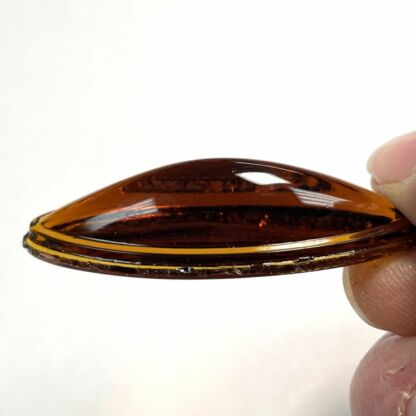 Odyssey Jewel 43mm x 16mm Oval Amber  OM4316-02 - Image 2