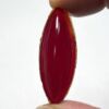 Odyssey Jewel 43mm x 16mm Oval Red OM4316-10 - Image 2