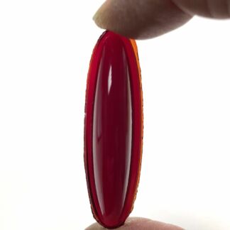 Odyssey Jewel 48mm x 13mm Oval Red OM4813-10