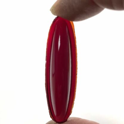 Odyssey Jewel 48mm x 13mm Oval Red OM4813-10