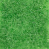 Oceanside 96 COE Frit - Light Green Transparent #121