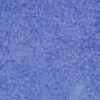 Oceanside 96 COE Frit - Pale Blue Transparent #1308