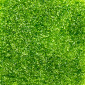 Oceanside 96 COE Frit - Moss Green Transparent #5262