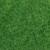 Oceanside 96 COE Frit - Fern Green Opal #755