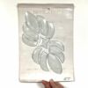 Clear Glass Bevel Set - HG1100
