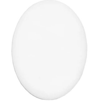 White egg centered on a plain white background.